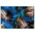 thumbnail image 2 of Peacock Feather Canvas Wall Art For Living room Bedroom Office Landscape Poster Prints Wall Decorations Unframed 18"x12", 2 of 6
