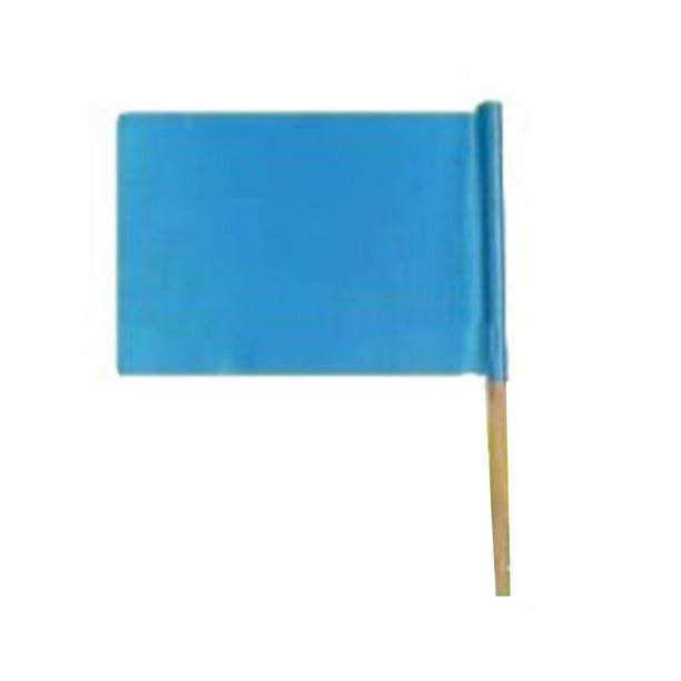 Toystoory Banderas pequeñas Bandera DIY Ejercicios matutinos Banner Deportes Meet Props Party Favors Kits de decoración para fiestas Azul/20x30cm
