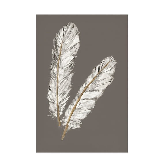 Trademark Fine Art 'Gold Feathers IV on Grey' Canvas Art by Chris Paschke