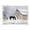 Black Horse and an Old Barn, variant on Acrylic Tray Clear Serving Tray Rectangle Decorative Tray with Cut Handle Palm Trees and Beaches