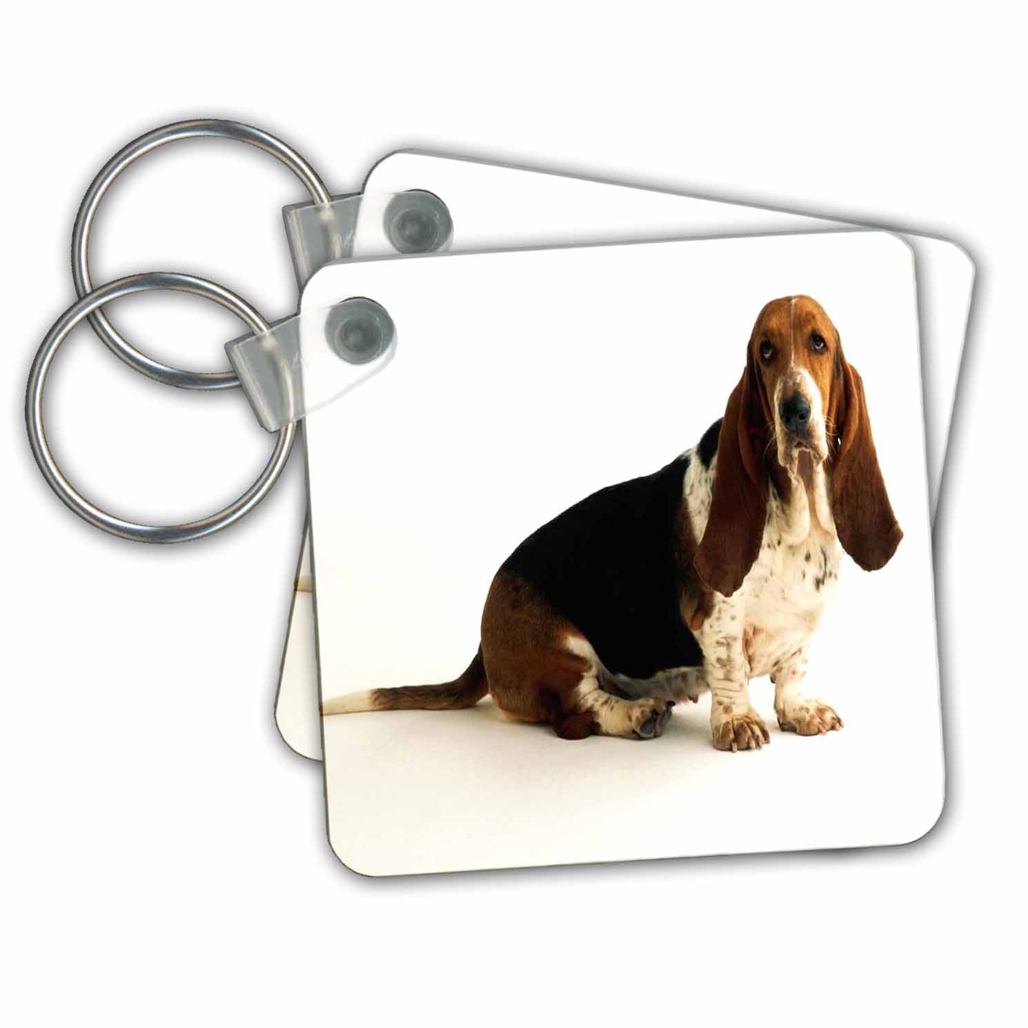 The Metal Peddler Dachshund Key Holder for Wall - Small 6x5 inch with 5 Hooks - Made in USA
