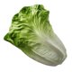 thumbnail image 5 of Lifelike Artificial Lettuce Decoration Made of PU Material for Home and Mall Decor, 5 of 5