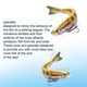 thumbnail image 4 of Señuelo artificial de 12,8 cm, hundible, con forma de varios peces, para pesca en el mar. Peces realistas que atraen a los peces. Portátil, ligero y duradero. Ideal para la pesca desde, 4 of 9