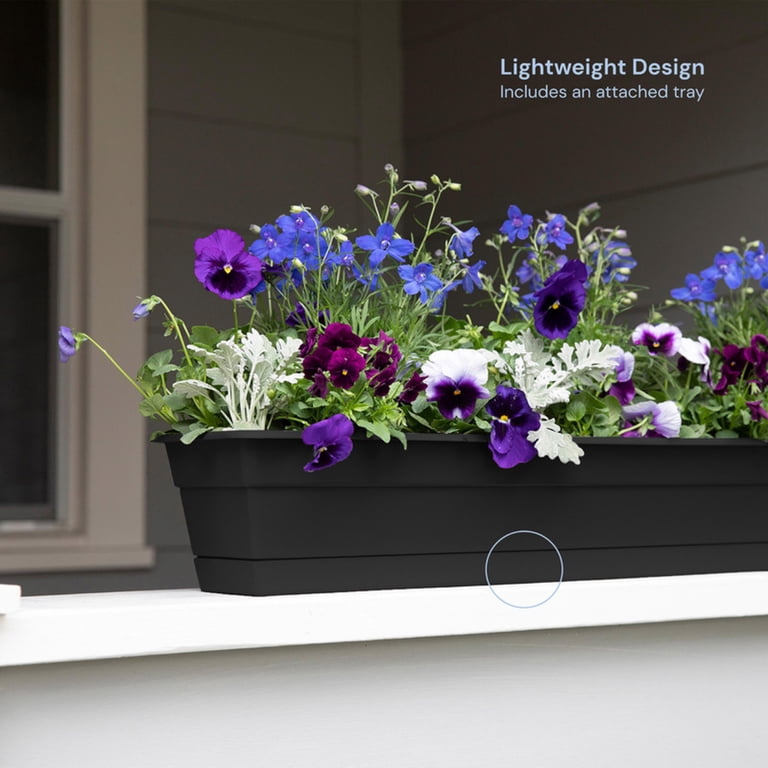 Bloem Dura Cotta 18" Plastic Window Box Planter with Saucer Tray:  Indoor/Outdoor, for Windowsill, Ledge, & Tabletop, Basil