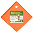 thumbnail image 1 of Bloem 14in Square Ups-A-Daisy TS6324, 1 of 5
