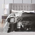 thumbnail image 5 of Paul Hero Rudd Flannel Fleece Throw Blankets Soft and Comfortable Warm Air Conditioning Blanket, 5 of 5