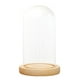 thumbnail image 2 of de Vidrio Transparente de Madera LED Soporte para Microlandscape , C 10x15cm BLESIY Cúpula transparente con base de madera, 2 of 8