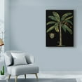thumbnail image 3 of Trademark Fine Art 'Palm and Crest on Black II' Canvas Art by Vision Studio, 3 of 4
