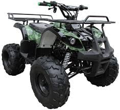 Tao Motor ATA 125D 125cc ATV with Electric Start and Reverse