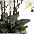 thumbnail image 3 of Vanity Art 36.22" H Artificial Phalaenopsis Orchids Floral Arrangement in Pot, 3 of 7