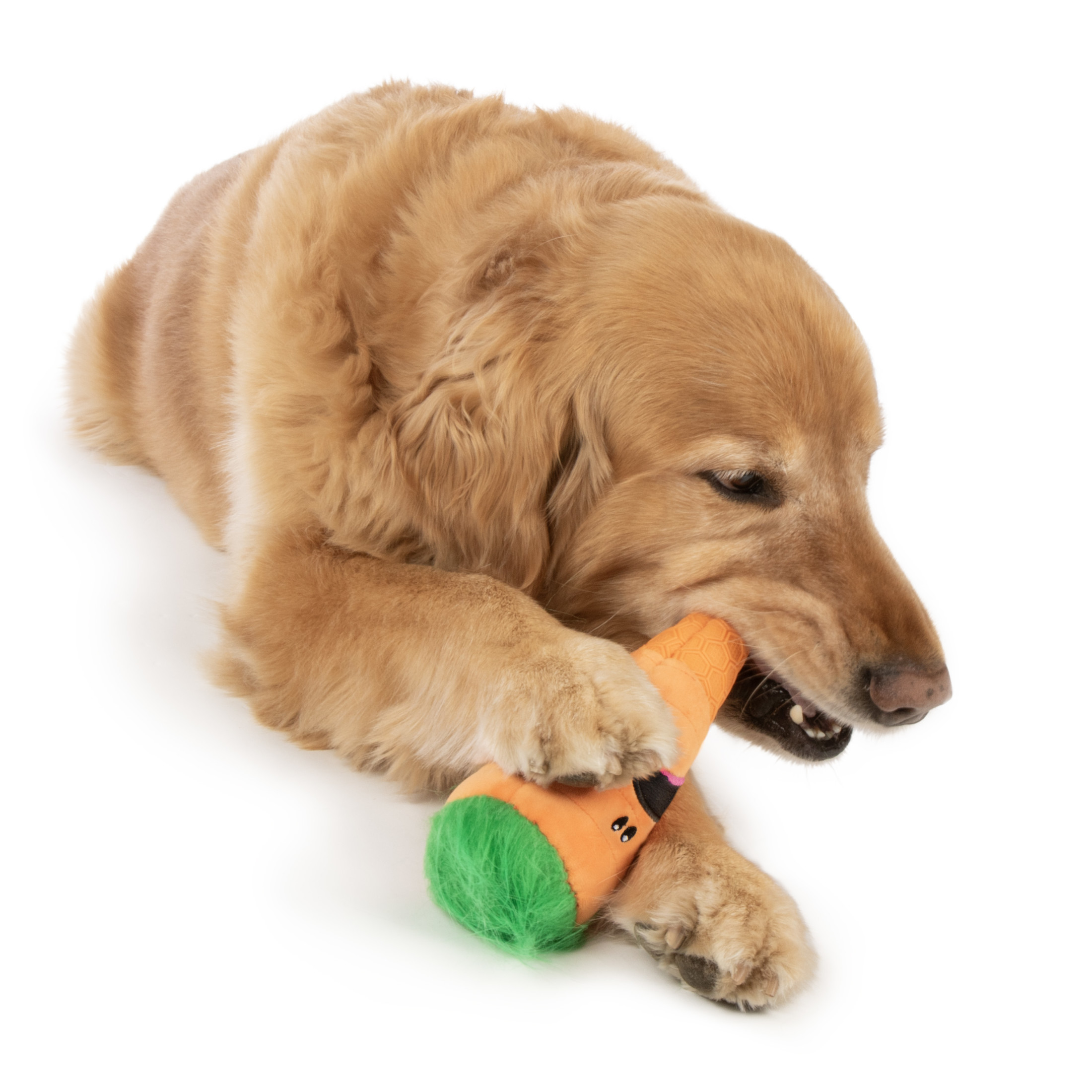 goDog Tough N Texture Carrot Durable Plush & Textured Silicone Squeaky Dog Toy with Chew Guard Technology, Medium, Orange