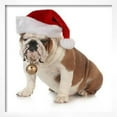 thumbnail image 2 of Christmas Dog  English Bulldog Wearing Santa Hat Holding Christmas Bell, Animals Seasons Framed Art Print Wall Art by Willee Cole Sold by Art.Com, 2 of 6
