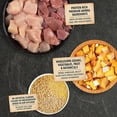 thumbnail image 2 of Wholesome Grains Puppy Recipe with Real Chicken, Eggs and Turkey Dry Food 11.5 lbs., 2 of 2