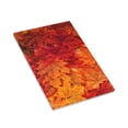 thumbnail image 3 of Kll Autumn Leaf Wall Plate,Gloss Finish,Standard Size 1 - 5" X 3", Polycarbonate Thermoplastic,Electric Receptacle Plug Covers, 3 of 8