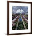 thumbnail image 1 of Como Park Conservatory, St Paul, Minnesota, USA, Botanical Framed Art Print Wall Art Sold by Art.Com, 1 of 5