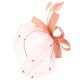 thumbnail image 1 of Boda Mujeres Net Mesh Nupcial Cara Velo Sombreros Novias Tocado Accesorio para el cabello (Rosa), 1 of 8