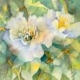 thumbnail image 2 of Loreth, Lanie 12x12 Gold Ornate Wood Framed with Double Matting Museum Art Print Titled - White Peony Garden, 2 of 4