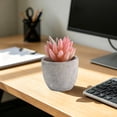 thumbnail image 4 of MMJ Artificial Potted Plants Faux Plants Small Plastic White Planter Tabletop Desk Home Office Decor 2.76x2.68x2.68in, 4 of 6