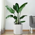 thumbnail image 5 of 16" Tall Hexagonal Self-Watering Planters Set of 2 with Water Level Monitor, Bottom Wheels & Drainage Hole – Indoor & Outdoor Plant Pots, White, 5 of 8