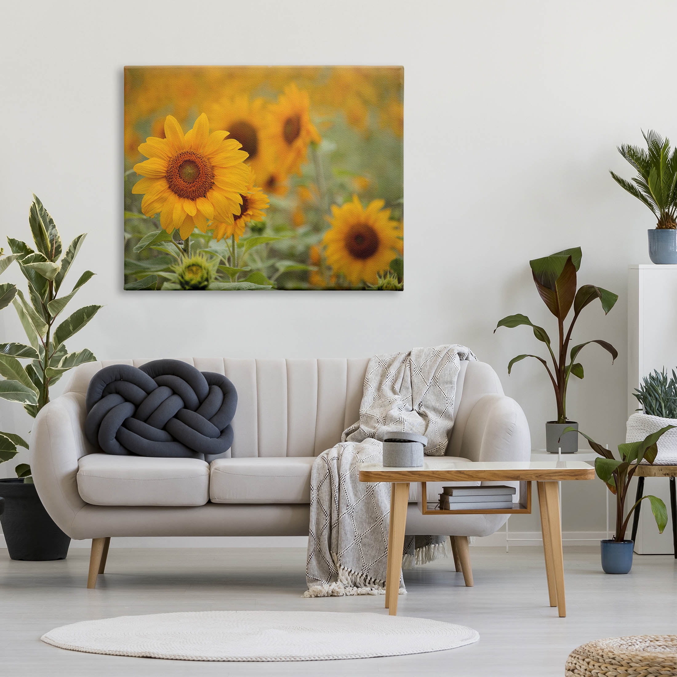 Sunflower Field Nature Blooms Botanical & Floral Photograph Gallery Wrapped Canvas Print Wall Art
