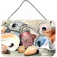 thumbnail image 1 of Sea Shells Indoor Aluminium Metal Wall Or Door Hanging Prints, 1 of 1