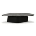thumbnail image 2 of Pemberly Row Contemporary Accent Black Ash Finish Low Coffee Table, 2 of 6