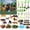 Jungle, variant on 48 count Rainforest Diorama Kit Habitat Project Box Set Rain Forest Diorama Supplies Include Rain Forest Figures Artificial Trees Rocks with Cardboard for DIY Crafts Gifts