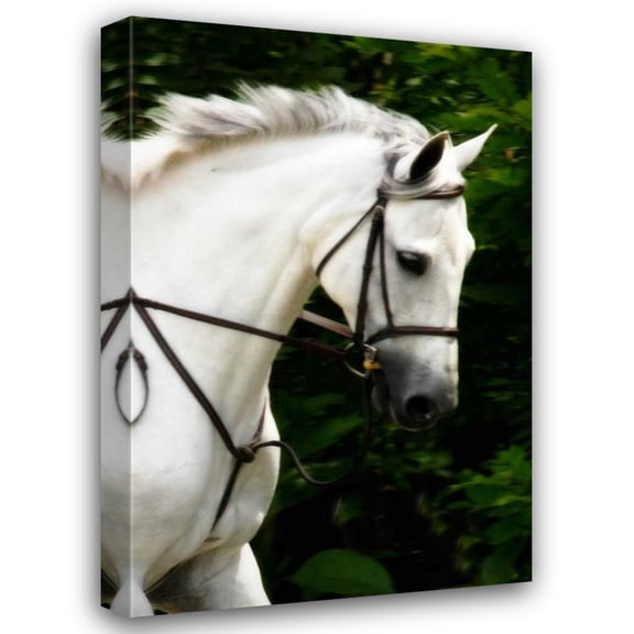 Alan Hausenflock 31x44 Gallery Wrapped Canvas Wall Art Titled - Phantom II