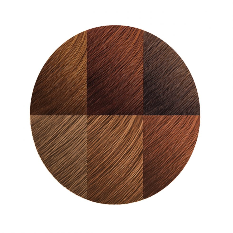 Creme Of Nature Exotic Shine Color With Argan Oil Medium Warm Brown 7.3, 1 Ea, 3 Pack
