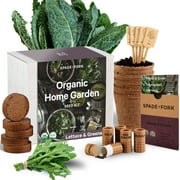 Spade to Fork - USDA Organic Indoor Lettuce & Greens Garden Starter Kit - Potting Soil, Peat Pots, 5 Seed Types Arugula, Spinach, Loose Leaf Lettuce, Kale, Red Romaine