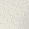 Bone