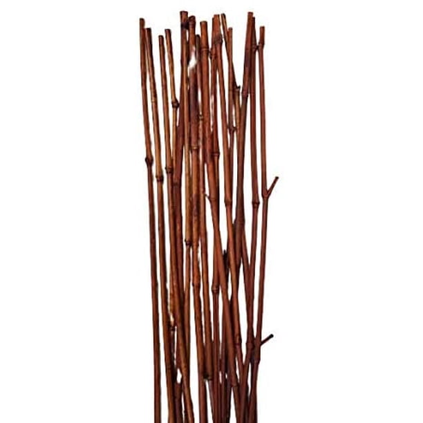 Natural Thick Bamboo Stakes 3 Feet Tall About Half Inch Diameter Pack
