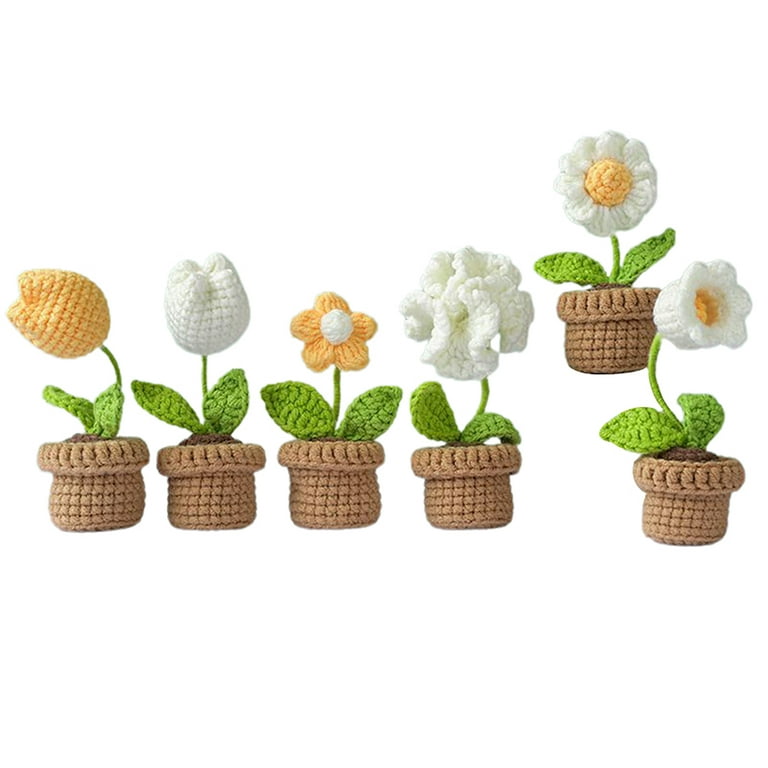 Crochet Kit for Beginners, 6 Pcs Crochet Potted Flowers Kit , Instructions  Gift