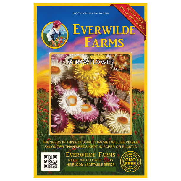 Everwilde Farms 100 Strawflower Garden Flower Seeds Gold Vault