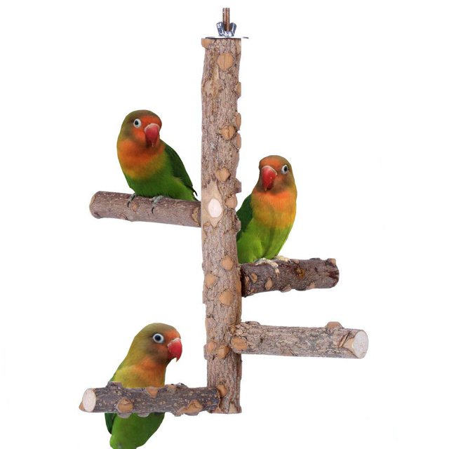 Soporte de madera para loros pequeños y medianos, M-para loros medianos ER