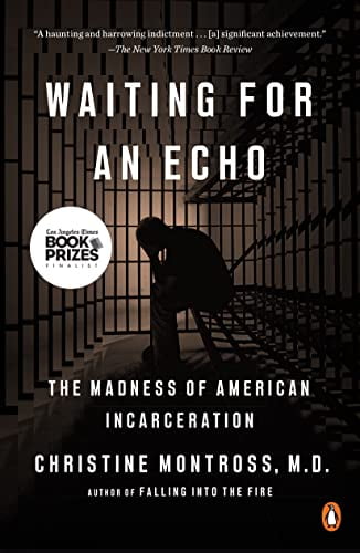 Pre-Owned Waiting for an Echo: The Madness of American Incarceration (Paperback) 0143110667 9780143110668