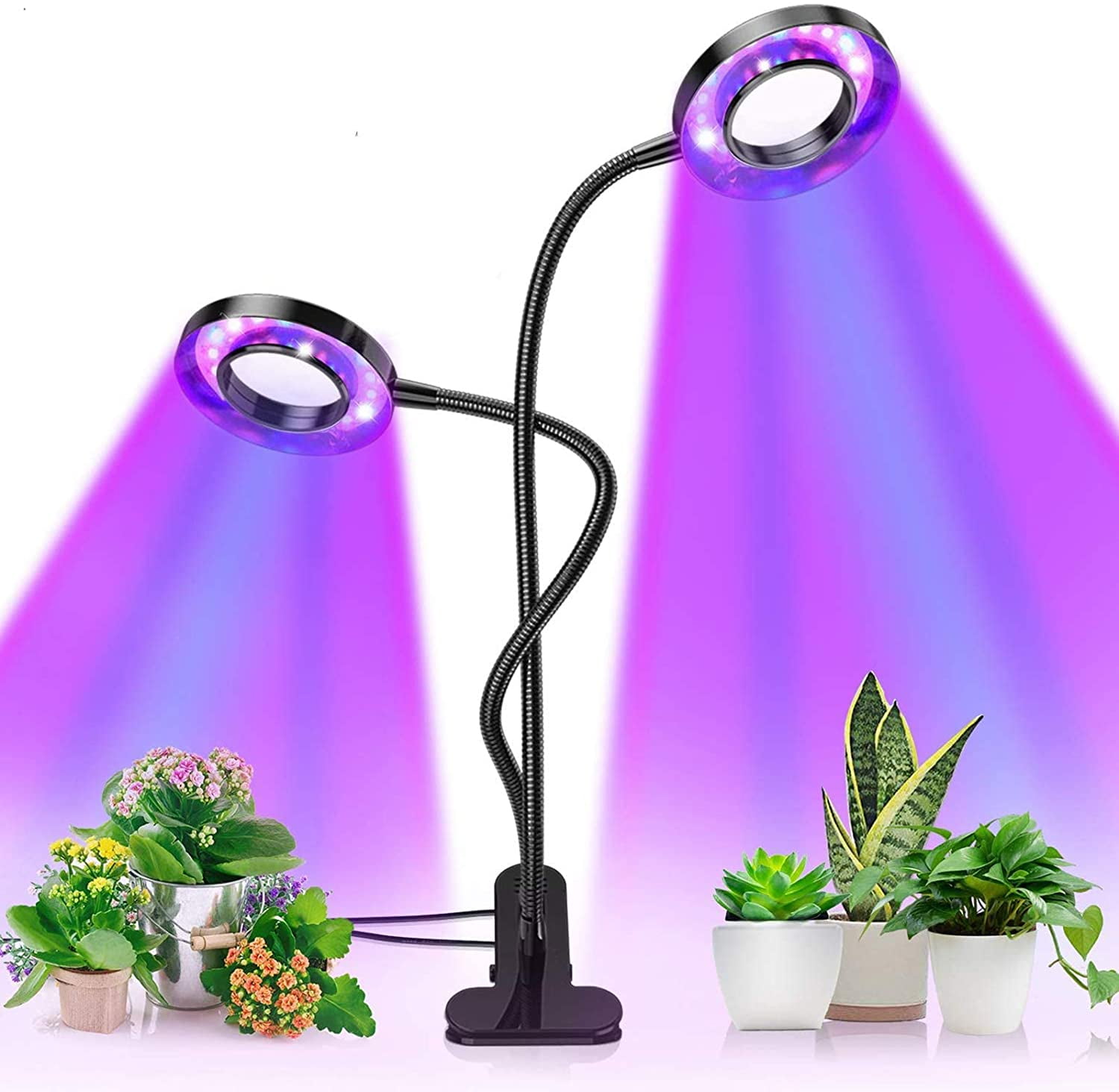 Plant light with auto timer, red and blue dimmable gooseneck light