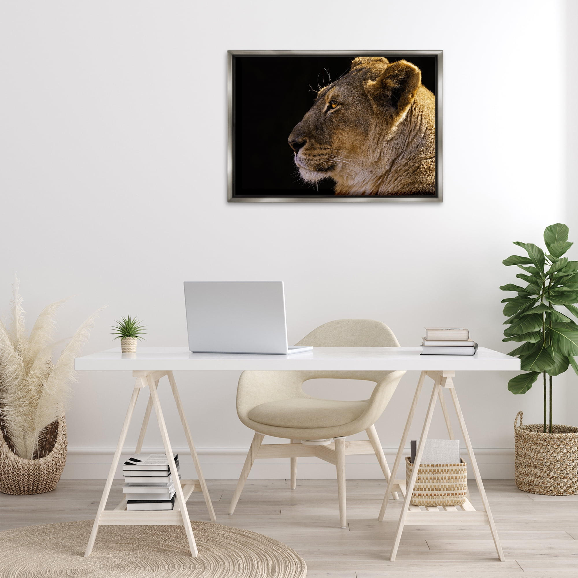 Stupell Industries Fierce Lion Looking Left Animals Photography Gray Floater Framed Canvas Art Print Wall Art, 31 x 21