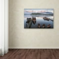 thumbnail image 3 of Trademark Fine Art "Passenger Free" Canvas Art by Adam Burton, 3 of 3