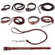 thumbnail image 5 of Correa de perro Sunnimix Collar de cuerda para entrenamiento al aire libre, 5 of 8