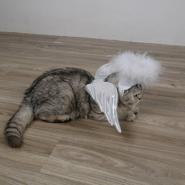 Cat top angel costume