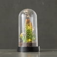 thumbnail image 3 of Sullivans Artificial Succulent in Plastic Globe with Lights 9"H, Green, 3 of 4