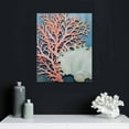 thumbnail image 4 of Nawypu  Vintage Coastal Artwork Canvas Wall Art Shell Starfish Coral Conch Natural Picture for Bathroom Kitchen Bedroom Decor Stretched and Framed Ready to Hang, 4 of 4