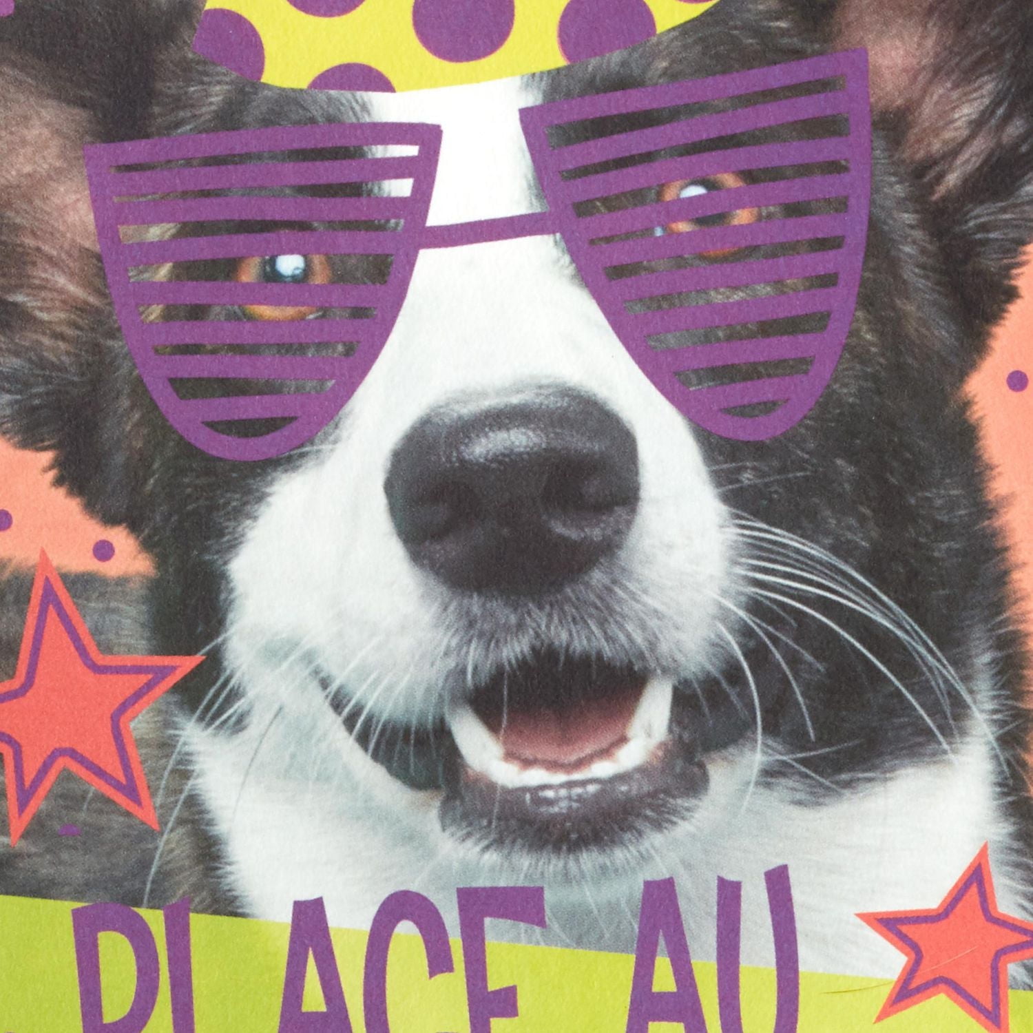 Hallmark Pop Up Birthday Card (Birthday Dog)