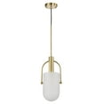 thumbnail image 3 of Palmella 7.5 in. 1-Light Indoor Brass Finish Pendant Light with Light Kit, 3 of 4