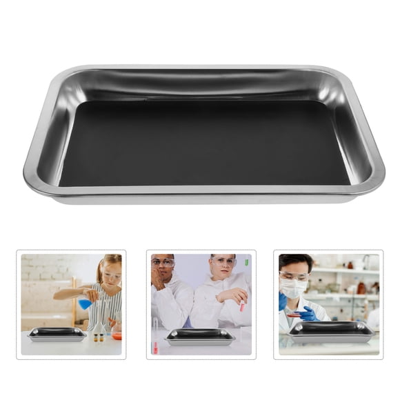 CRILSTYLEO Para Disección De Acero Inoxidable Con Seguro Para Aulas Y Laboratorios