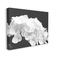 thumbnail image 3 of Delicate White Hydrangea Petals Botanical & Floral Photograph Gallery Wrapped Canvas Print Wall Art, 3 of 7