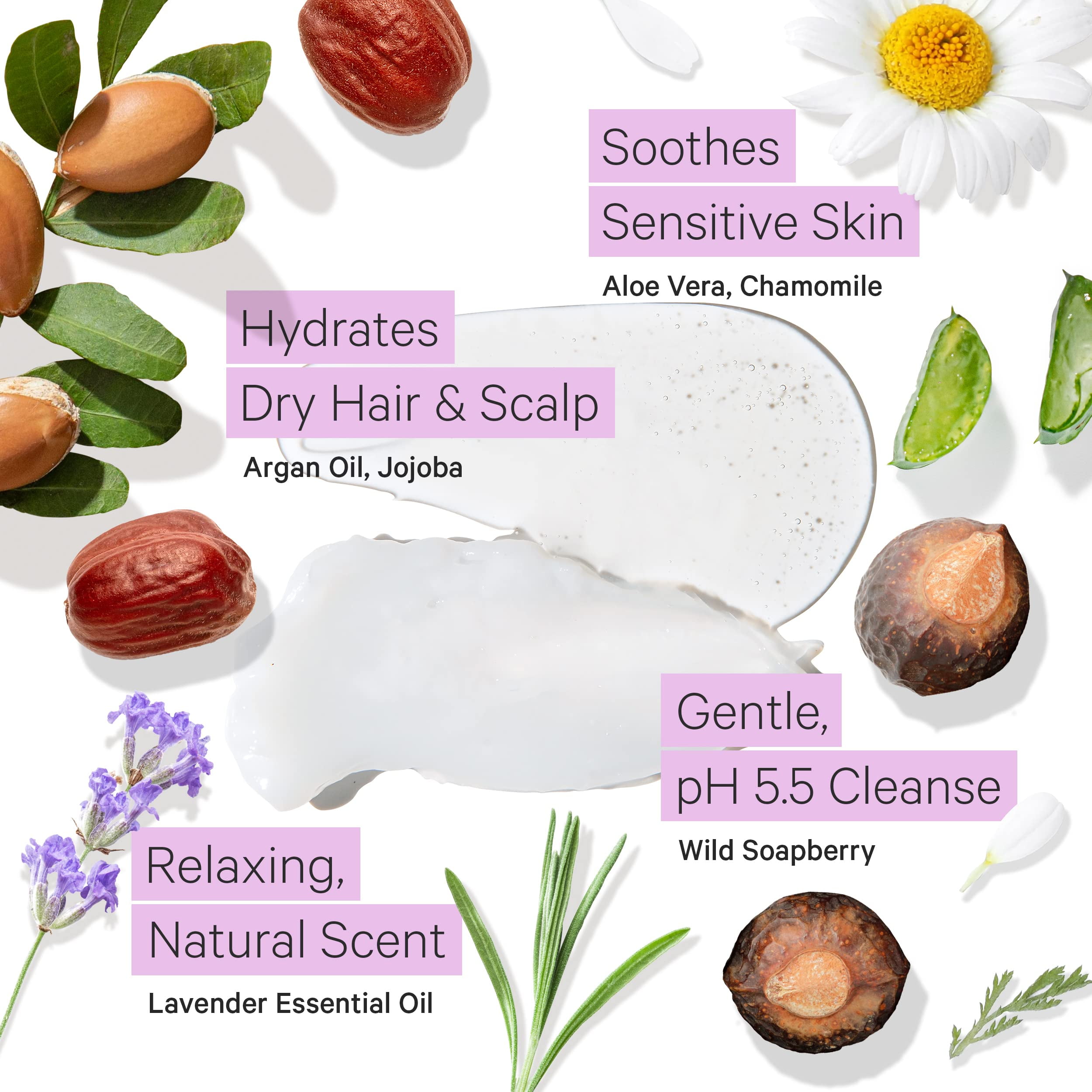 Tree To Tub Hydrating Sulfate Free Shampoo and Conditioner Set for Dry Hair, Dry Scalp Moisturizing Argan Oil Shampoo and Conditioner for Women & Men