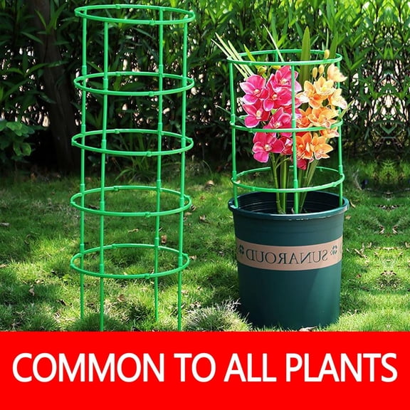 Xaoshaoyi Plant Support Cages For Climbing Plants Flowering Tomato Cage With Standing Stakes And Stabilizing Support Ring Pack Of 10