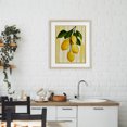 thumbnail image 3 of Stupell Industries Farmhouse Lemons on Green Branch Birch Framed Print Under Glass, 17 x 21, by Yen, 3 of 8